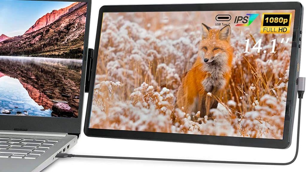 Iryreafer em um monitor portátil