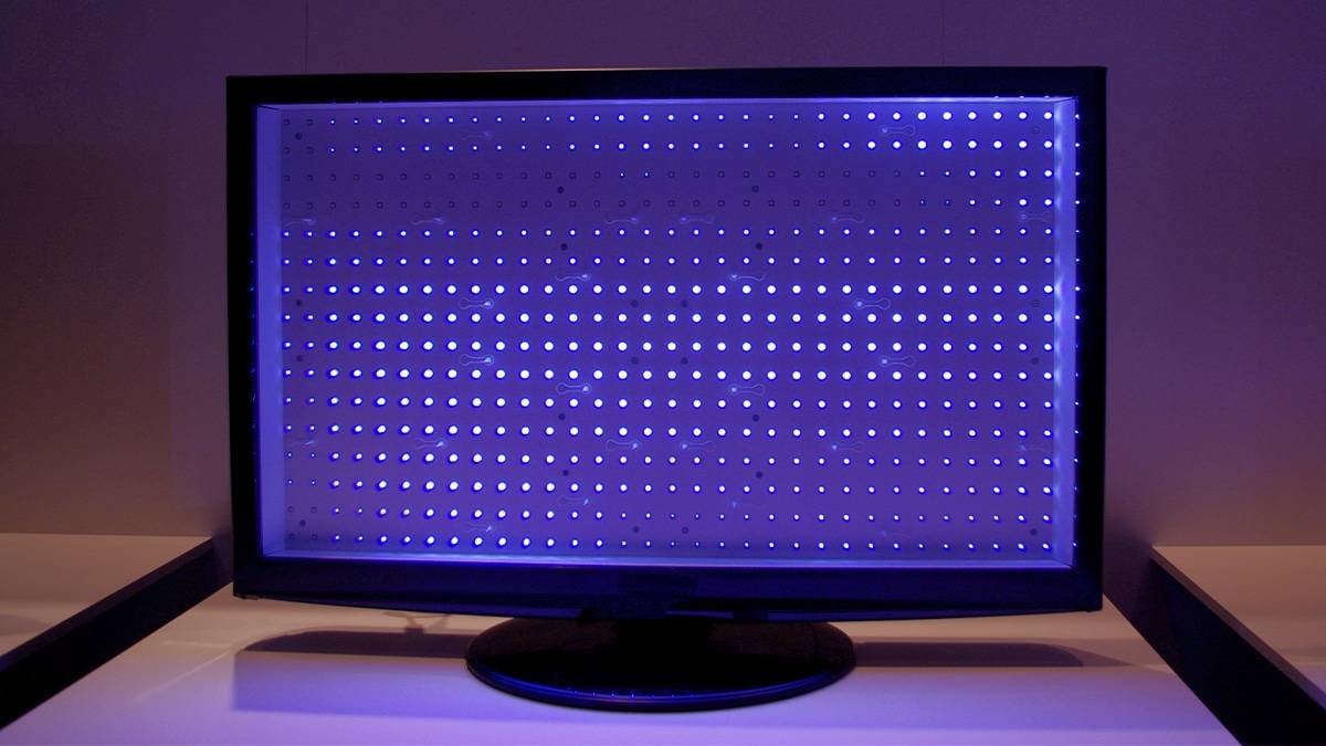 Como é o LCD?  Entenda como funciona a tecnologia e quais são seus benefícios