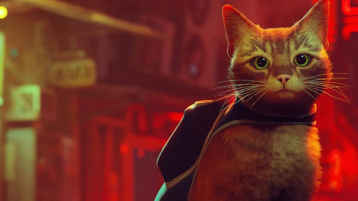 Stray motif dos jogos “AAA” o que acontece na jogabilidade |  Análise